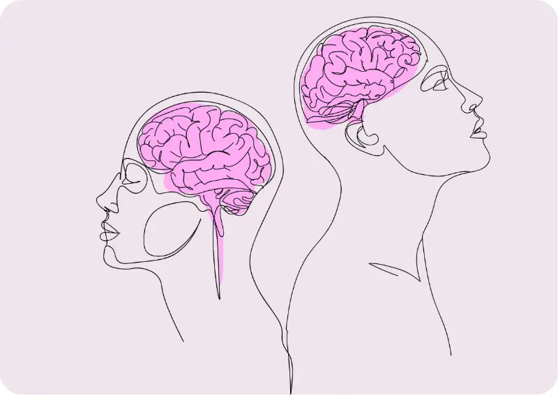Illustration of brains in profile view
