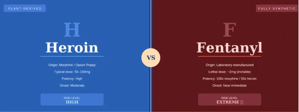 Fentanyl vs. Heroin Why Synthetic Opioids Pose a Greater Risk Today