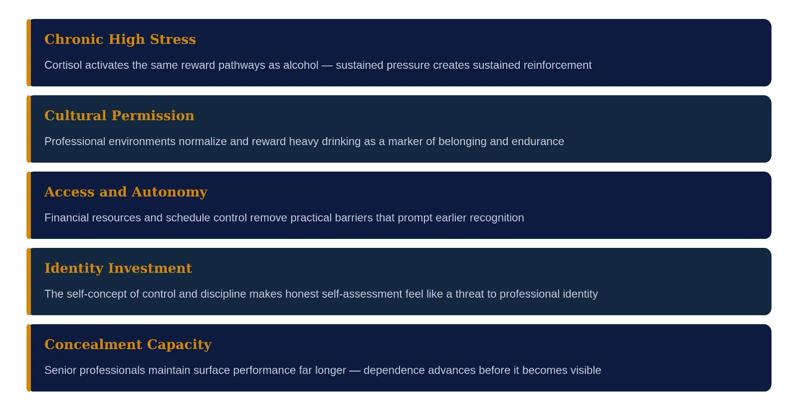 A clinical breakdown of factors complicating recovery for senior professionals, including chronic stress, cultural permission, access and autonomy, identity investment, and concealment capacity.